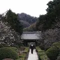 浄妙寺の写真_183185