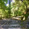 元伊勢内宮皇大神社の写真_254547