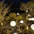 箱根強羅公園の写真_266411