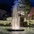 箱根強羅公園の写真_266413