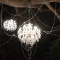 箱根強羅公園の写真_266415