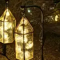 箱根強羅公園の写真_266416