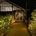 箱根強羅公園の写真_266418