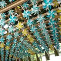 川越氷川神社の写真_281985