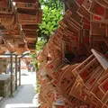 川越氷川神社の写真_282011