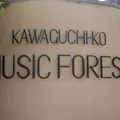 河口湖音楽と森の美術館（旧：オルゴールの森）の写真_301569