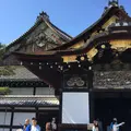 元離宮 二条城の写真_33749