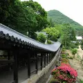 吉備津神社の写真_3509