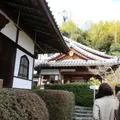 鈴虫寺（華厳寺）の写真_3921