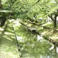 川越氷川神社の写真_3948