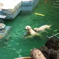 天王寺動物園の写真_40950