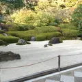 明月院（あじさい寺）の写真_41086