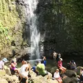 Manoa Fallsの写真_42777