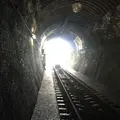 大日影トンネル遊歩道の写真_46053