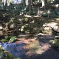 名水「三分一湧水」の写真_47847