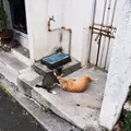桜坂劇場の写真_51493