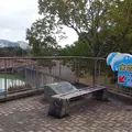 総合運動公園駅の写真_524516