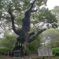 那須温泉神社の写真_536526