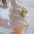 道の駅天城越えの写真_538131