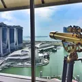 The Ritz-Carlton, Millenia Singaporeの写真_56195