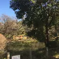 有栖川宮記念公園の写真_57463