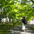東福寺の写真_575373