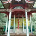 春日神社の杉の写真_58931