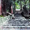 商家の町並みの写真_60678