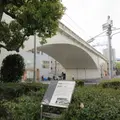 原田拱橋の写真_631029