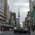 パンのペリカンの写真_63967