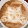 CAFE ATIKの写真_68707