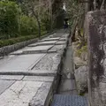 高台寺の写真_68854