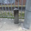 和泉市役所の写真_694636