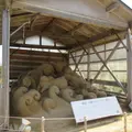 白兎神社の写真_694653