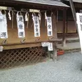 川越熊野神社の写真_69691