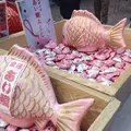川越氷川神社の写真_70472