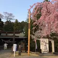 蒲生神社の写真_71033
