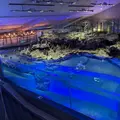 すみだ水族館の写真_714212