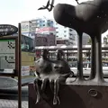 平塚市博物館の写真_71892