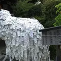 安井金比羅宮の写真_72507