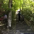 鈴虫寺（華厳寺）の写真_72509