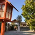 赤城神社の写真_72797