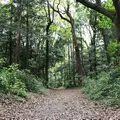 明治神宮の写真_73650