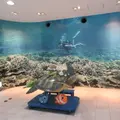 串本海中公園の写真_736801