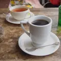 カモメのリヨンの写真_74404