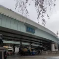 日本橋とやま館の写真_751492