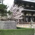 法隆寺の写真_7518