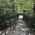 鈴虫寺（華厳寺）の写真_75792