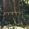 御岩神社の写真_76506
