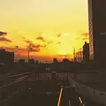 中野駅の写真_77323